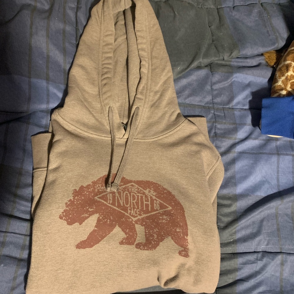 The north face brown hoodie with bear